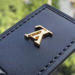 Louis Vuitton Speedy BB M57111 Black